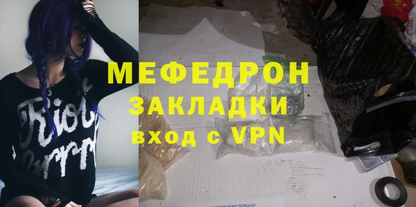 индика Сосновоборск