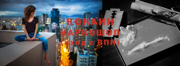 индика Сосновоборск