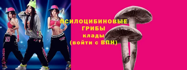 индика Сосновоборск