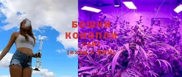 индика Сосновоборск