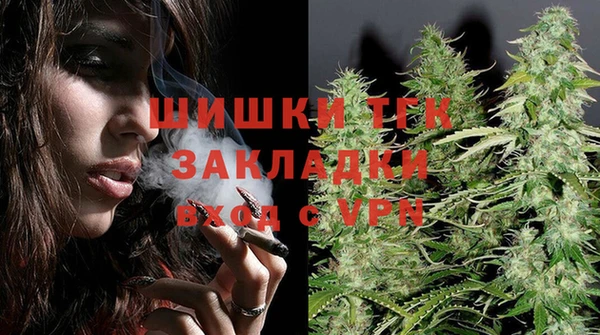 индика Сосновоборск