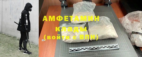 индика Сосновоборск