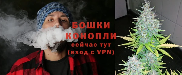 индика Сосновоборск