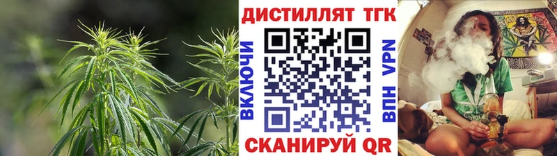 ТГК THC oil  Купить закладки  Пустошка 
