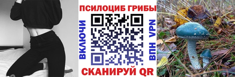 Псилоцибиновые грибы Psilocybe Пустошка